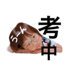 永愛ちゃん（個別スタンプ：6）