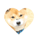 Dog...YS（個別スタンプ：1）