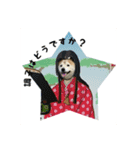 Dog...YS（個別スタンプ：5）
