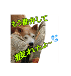 Dog...YS（個別スタンプ：6）