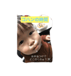 エム-ファミリースタンプ（個別スタンプ：5）