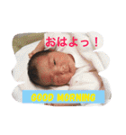 エム-ファミリースタンプ（個別スタンプ：31）