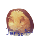 Potato is a Guinea pig ！（個別スタンプ：8）