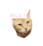 ルーちゃん22（個別スタンプ：2）