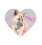愛犬 Love（個別スタンプ：7）