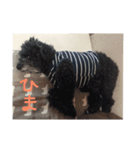 I'm chiroru.（個別スタンプ：5）