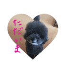 I'm chiroru.（個別スタンプ：6）