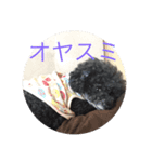 I'm chiroru.（個別スタンプ：8）