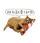 JTCATS（個別スタンプ：12）