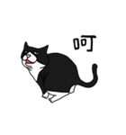 Pidan Cat Anime Sticker（個別スタンプ：1）