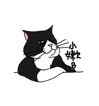Pidan Cat Anime Sticker（個別スタンプ：2）