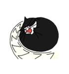 Pidan Cat Anime Sticker（個別スタンプ：5）