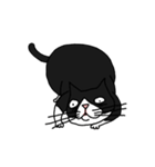 Pidan Cat Anime Sticker（個別スタンプ：6）