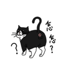 Pidan Cat Anime Sticker（個別スタンプ：8）