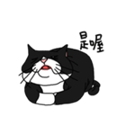 Pidan Cat Anime Sticker（個別スタンプ：11）