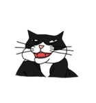 Pidan Cat Anime Sticker（個別スタンプ：13）