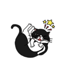 Pidan Cat Anime Sticker（個別スタンプ：16）