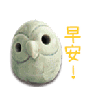 wanfu's owl(greetings)（個別スタンプ：1）