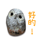 wanfu's owl(greetings)（個別スタンプ：6）