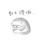 Bread is a Stinky Cat（個別スタンプ：14）