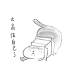 Bread is a Stinky Cat（個別スタンプ：27）