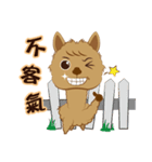 Ni Er-Grass mud horse daily（個別スタンプ：5）