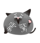 gray cat named gomadango Chinese ver.（個別スタンプ：6）