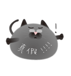 gray cat named gomadango Chinese ver.（個別スタンプ：7）