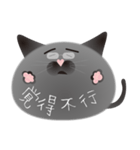 gray cat named gomadango Chinese ver.（個別スタンプ：12）