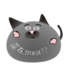 gray cat named gomadango Chinese ver.（個別スタンプ：15）