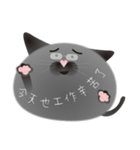 gray cat named gomadango Chinese ver.（個別スタンプ：17）