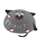gray cat named gomadango Chinese ver.（個別スタンプ：19）