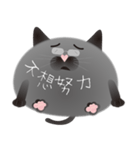 gray cat named gomadango Chinese ver.（個別スタンプ：20）