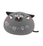 gray cat named gomadango Chinese ver.（個別スタンプ：22）