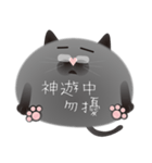 gray cat named gomadango Chinese ver.（個別スタンプ：31）
