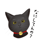 黒猫ルカ（個別スタンプ：5）