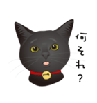 黒猫ルカ（個別スタンプ：6）