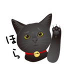 黒猫ルカ（個別スタンプ：14）