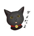 黒猫ルカ（個別スタンプ：15）