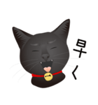 黒猫ルカ（個別スタンプ：18）