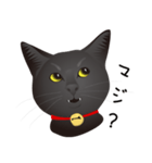 黒猫ルカ（個別スタンプ：26）