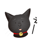 黒猫ルカ（個別スタンプ：27）