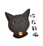 black cat RUKA（個別スタンプ：2）
