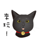 black cat RUKA（個別スタンプ：3）