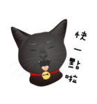 black cat RUKA（個別スタンプ：4）