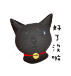 black cat RUKA（個別スタンプ：6）