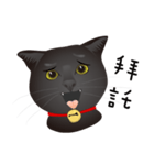 black cat RUKA（個別スタンプ：7）