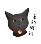 black cat RUKA（個別スタンプ：9）