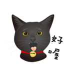 black cat RUKA（個別スタンプ：11）