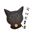 black cat RUKA（個別スタンプ：12）